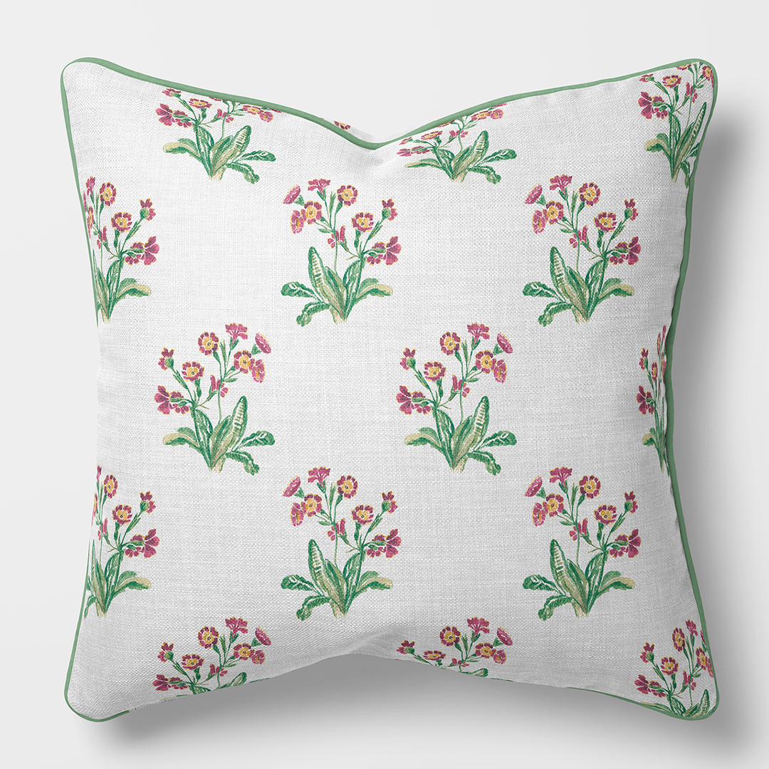 Primula inglese