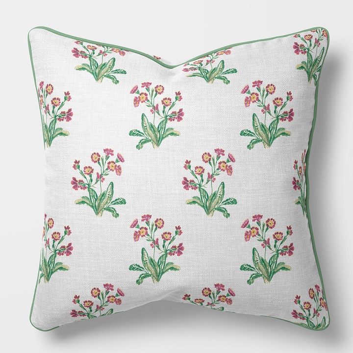 Primula inglese